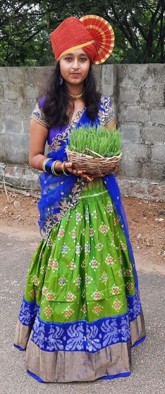 Printed Regular Phetas