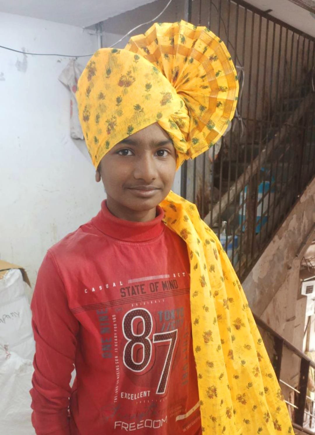 Printed Regular Phetas